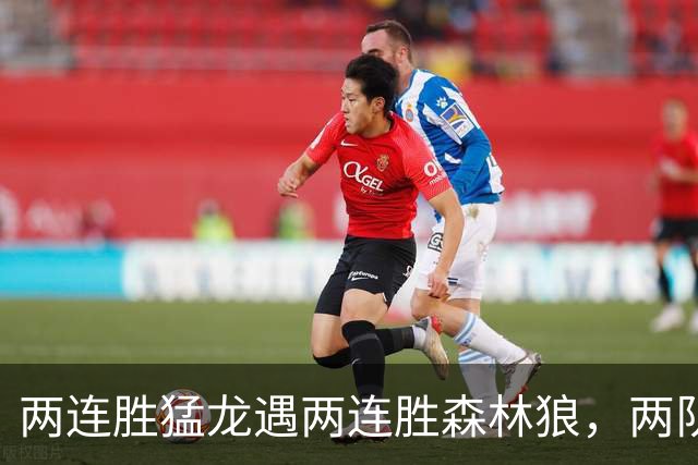 两连胜猛龙遇两连胜森林狼，两队都想保住不败金身
