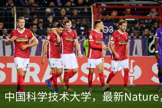 中国科学技术大学，最新Nature，首次合成！
