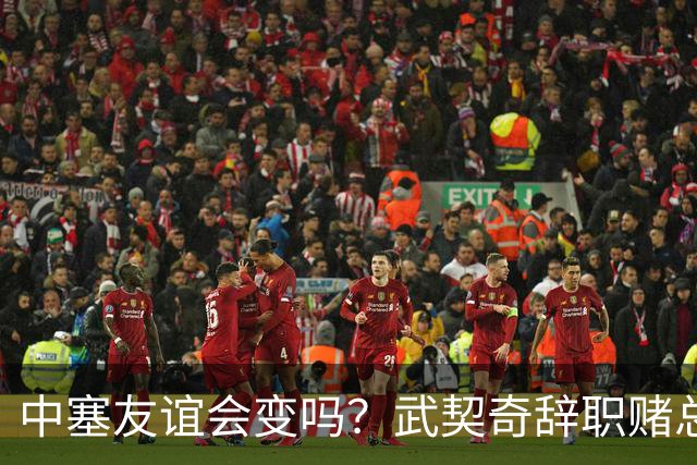 中塞友谊会变吗？武契奇辞职赌总理败选，新领导对华态度模棱两可