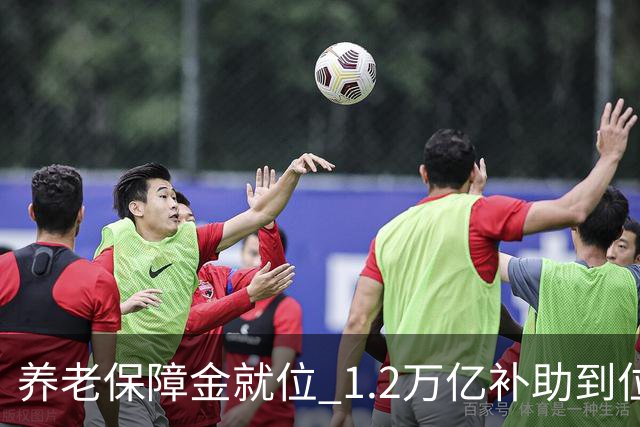 养老保障金就位 1.2万亿补助到位，26年养老金调整发文时间引关注