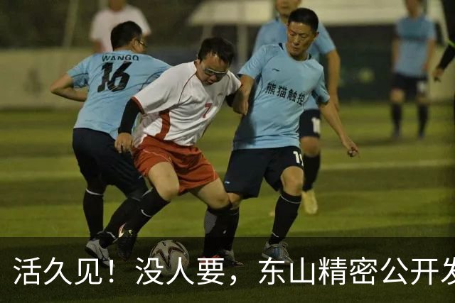 活久见！没人要，东山精密公开发售仅认购0.39倍？A股3个月闪崩62%