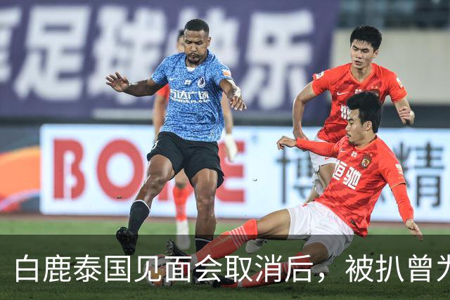 白鹿泰国见面会取消后，被扒曾为缅北拍宣传片，知情人爆更多内幕