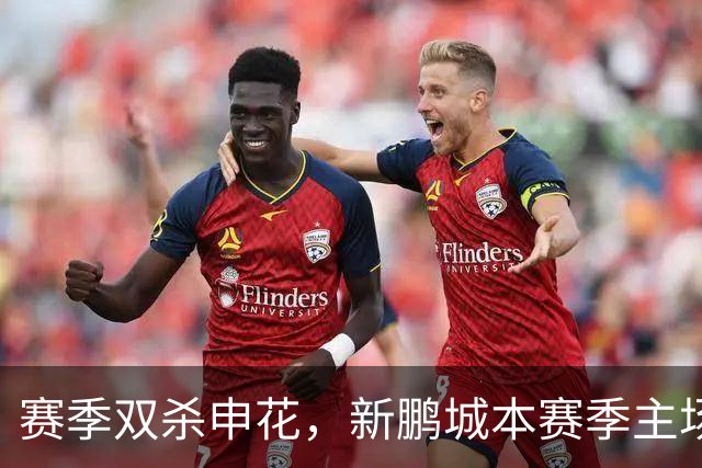 赛季双杀申花，新鹏城本赛季主场圆满收官
