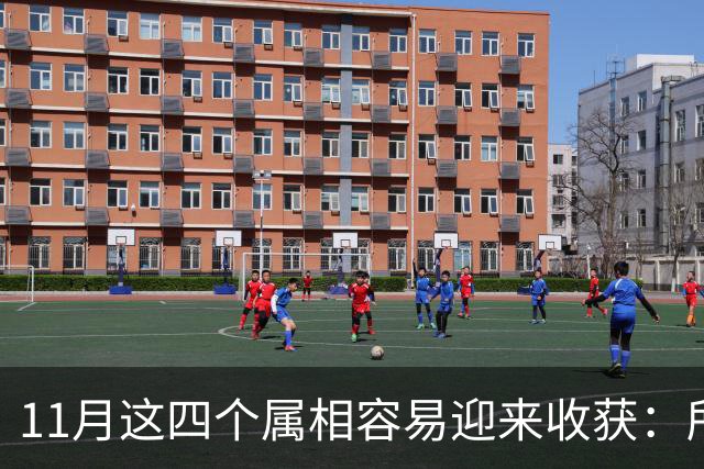 11月这四个属相容易迎来收获：所有惊喜，都是长期默默耕耘的结果
