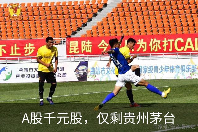 A股千元股，仅剩贵州茅台